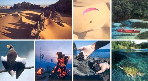 Biodiversidad2 Biodiversidad2