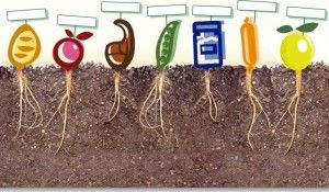 Consumo ecológico