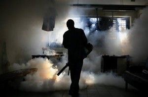 Fumigación oficina sensibilidad química tóxico