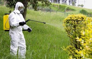 Peligroso cóctel de tóxicos en los alimentos españoles 5 toxicos