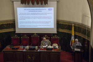 Declaración Madrid_6