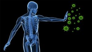 Conocer cómo desintoxica nuestro organismo, clave para evitar daños por vacunas y otros fármacos 4 Sistema inmunitario