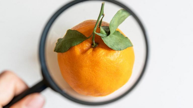 Más razones para comer bio: 50 tóxicos en las naranjas de importación (¿y en las demás?)