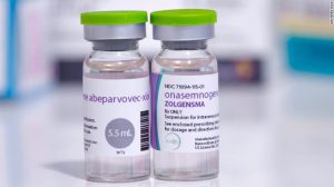 Zolgensma: El fármaco más caro del mundo cuyo fabricante mintió a las autoridades sanitarias para que lo aprobasen 2 Zolgensma 1