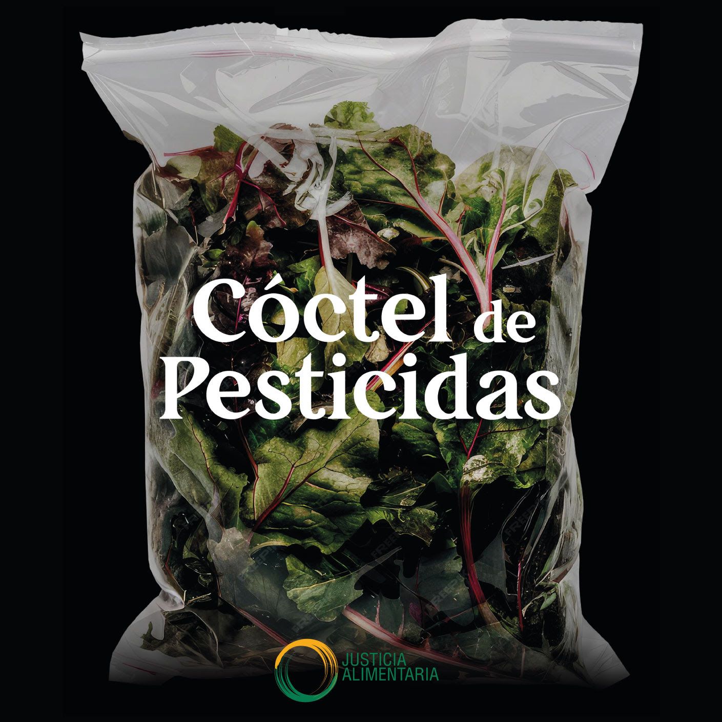 El lado oscuro del campo: Cuando los pesticidas roban la salud a nuestros agricultores 1 Pesticidas ensaladas bolsa miguel jara 1