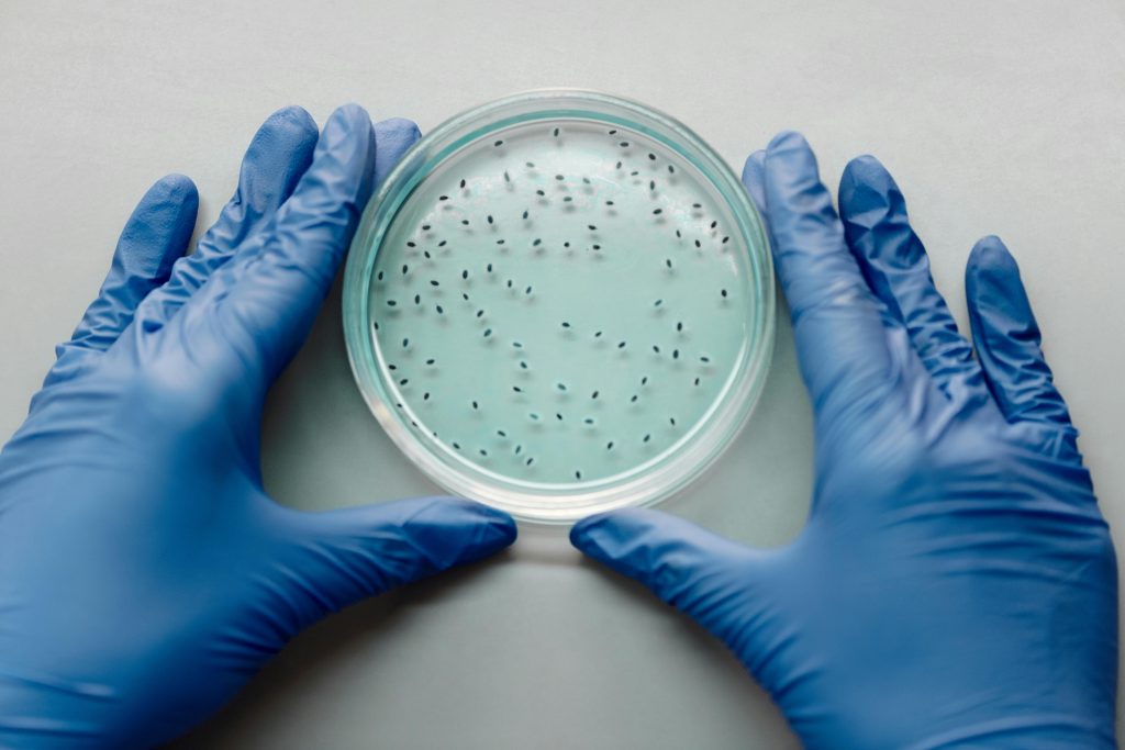 Bacterias Antrax