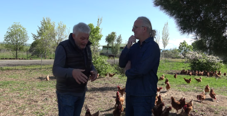 Confinamiento total de las aves por la gripe aviar: ¿protección sanitaria o castigo al modelo menos industrial?