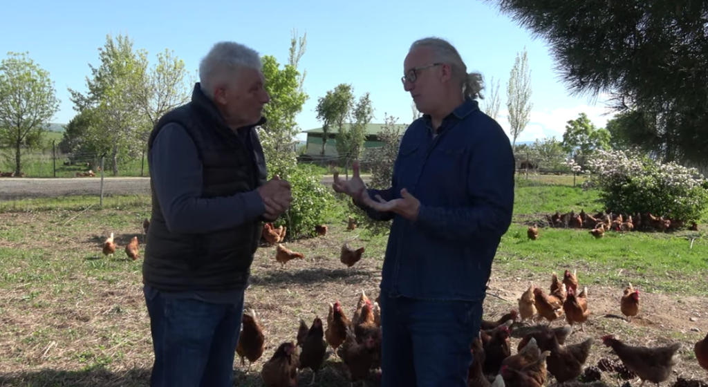 Captura de pantalla 2026 01 14 130355