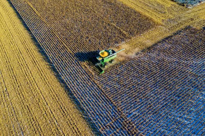 Agricultura espermicida pexels tom fisk 1595107